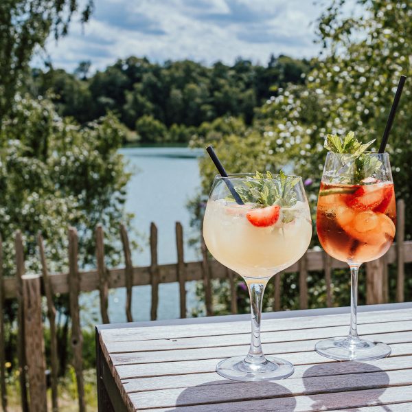 the-reverie-afternoon-tea-lunch-breakfast-evening-dining-sunday-lunch-roast-wine-private-hire-lake-views-buckland-park-lake-surrey-45